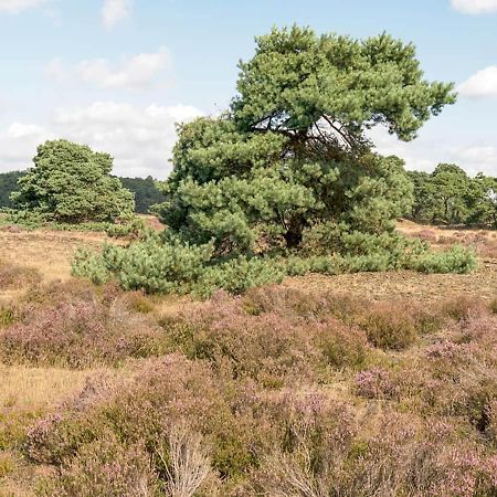 Heerlijke Vakantiewoning Veluwse Bossen Putten Exterior foto