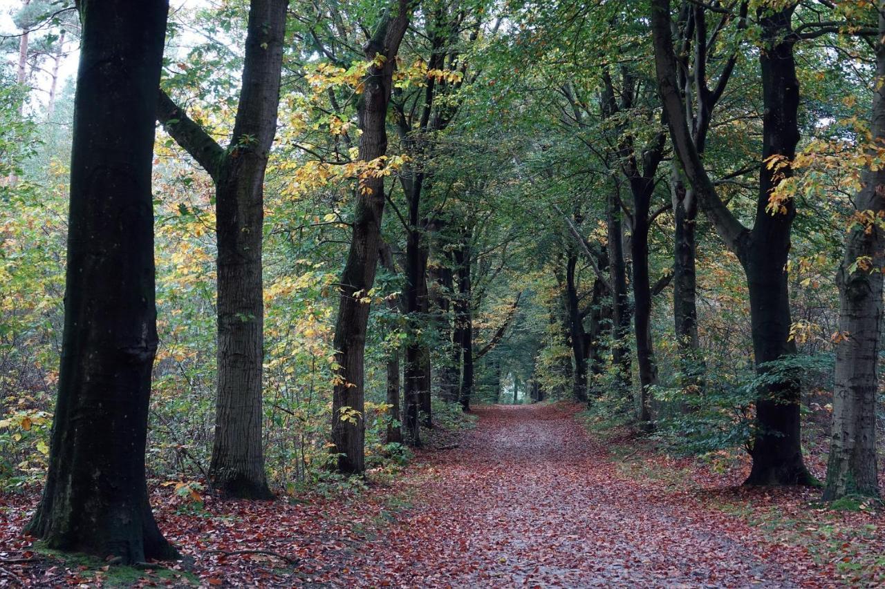 Heerlijke Vakantiewoning Veluwse Bossen Putten Exterior foto